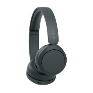 Sony WH-CH520/BZ Headband W/BT [Black]